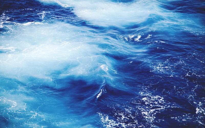 Muğla'da orman yangını: Havadan ve karadan müdahale sürüyor